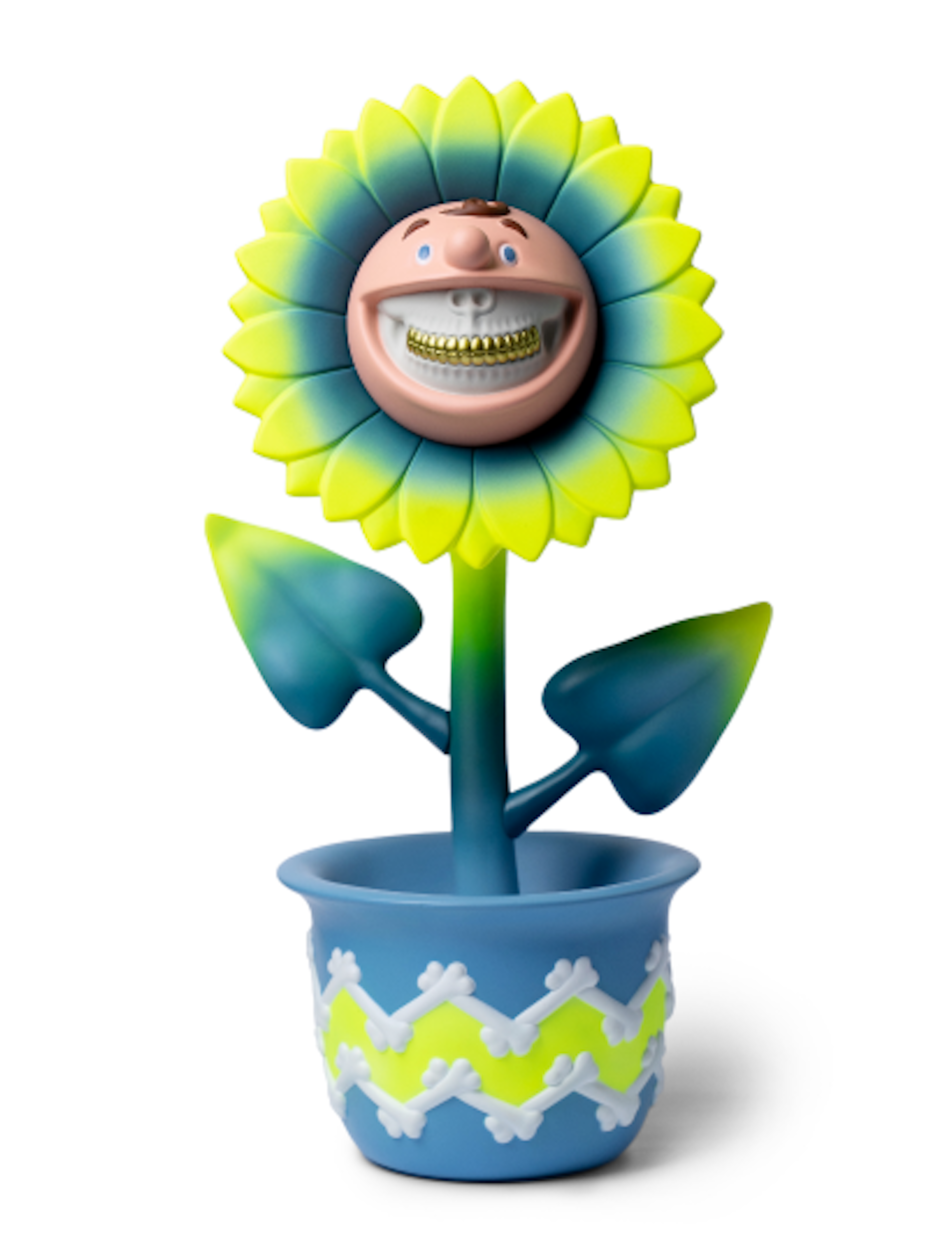 Charlie Grin Sunflower Feature Blue 1